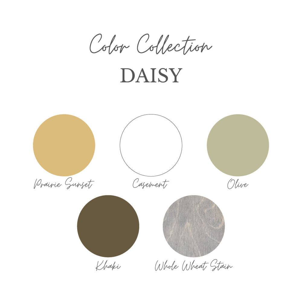 DAISY Color Collection